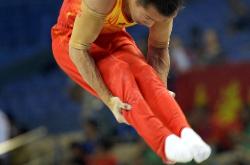 体操精英集结，争夺最高荣誉