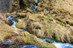 斯堪的纳维亚冰岛主场告负失利的简单介绍