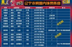 辽宁队主力球员表现抢眼，助队取胜的简单介绍