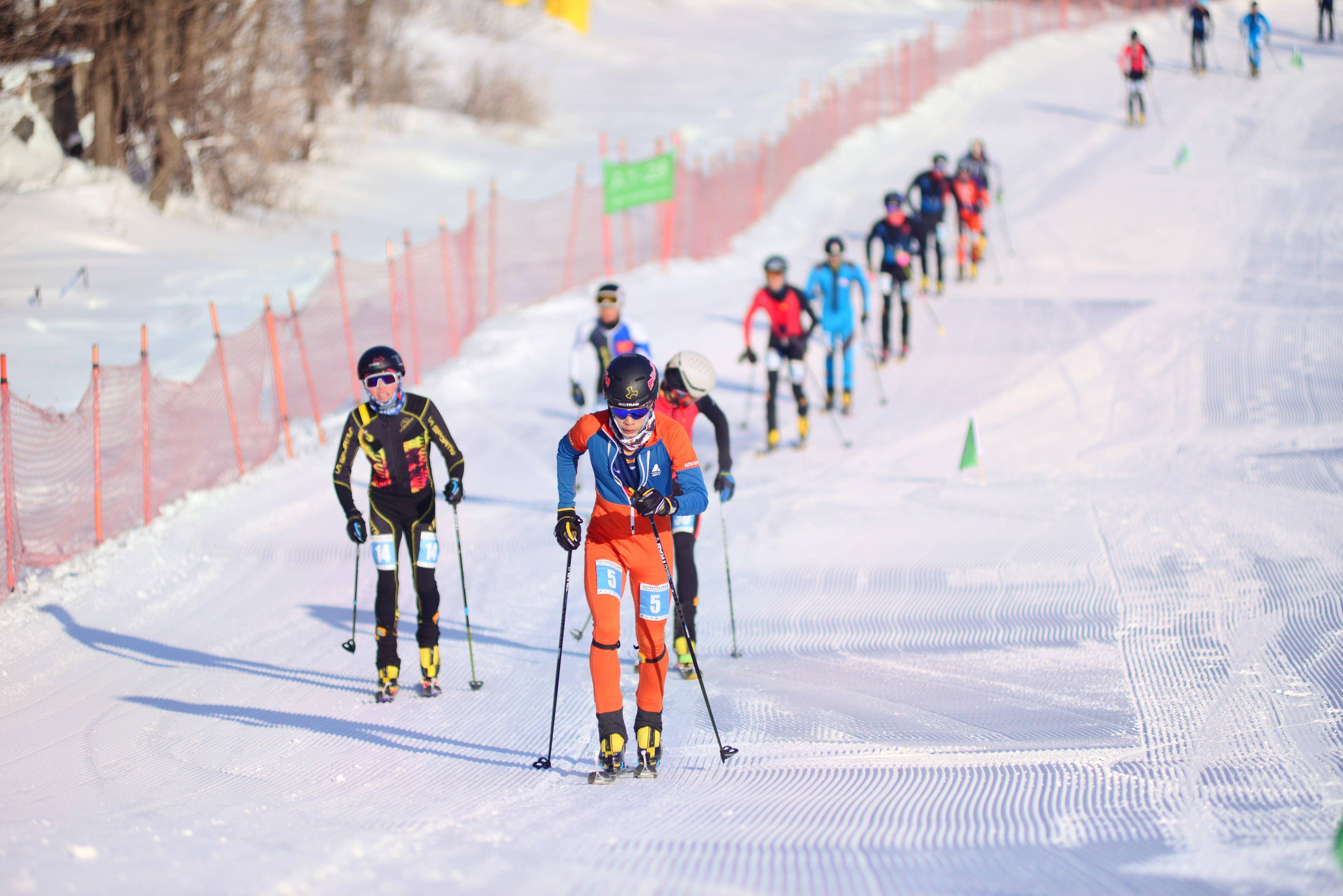 韩国代表团在滑雪比赛中表现出色 韩国代表团在滑雪比赛中表现出色