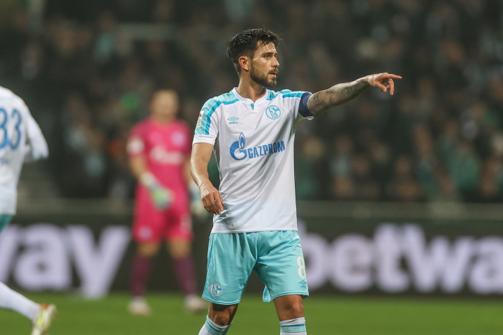 沙尔克将在欧冠强赛中展现顽强的战斗精神的简单介绍