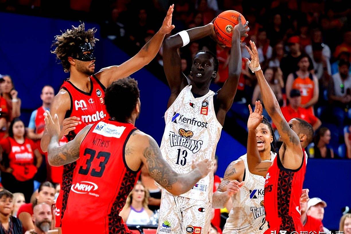 澳大利亚篮球联赛:凯恩斯突袭悉尼国王队的简单介绍 澳大利亚篮球联赛:凯恩斯突袭悉尼国王队的简单介绍